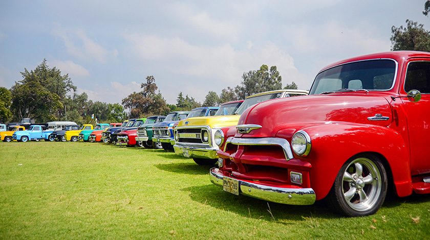 vintage ford cars lined up on display on a green lawn