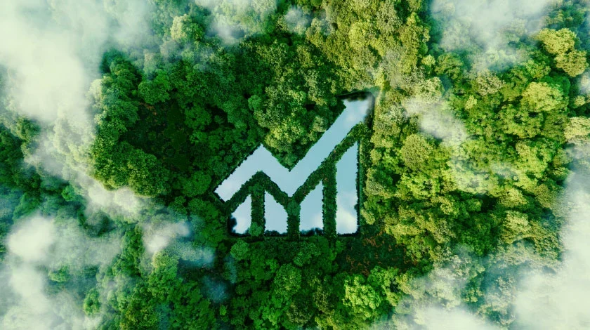 Sustainability