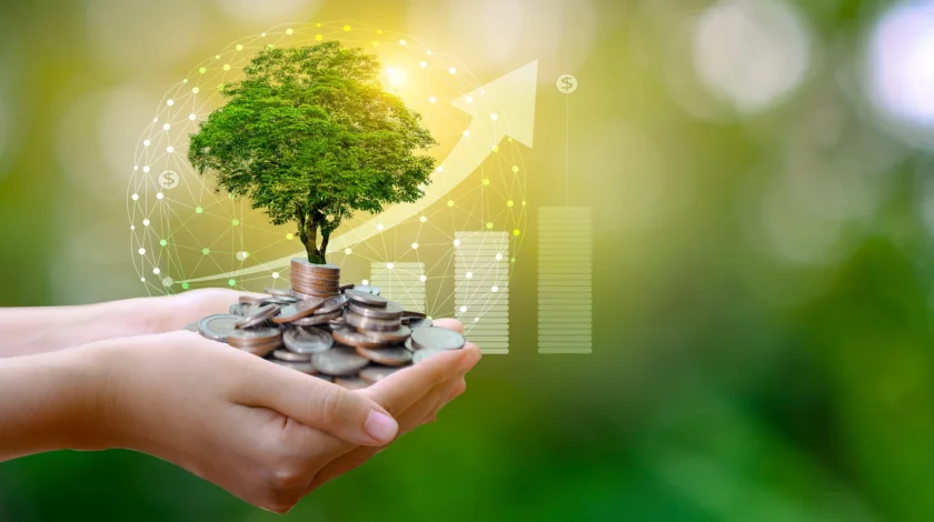 hand Coin tree The tree grows on the pile. Saving money for the future. Investment Ideas and Business Growth. Green background with bokeh sun